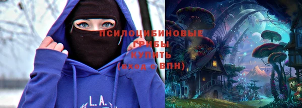 наркотики Белокуриха
